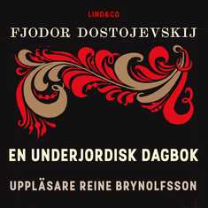 En underjordisk dagbok