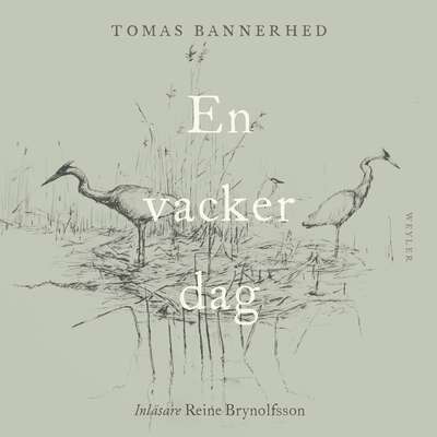 En vacker dag - Tomas Bannerhed.