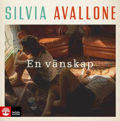 En vänskap - Silvia Avallone.