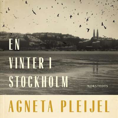 En vinter i Stockholm - Agneta Pleijel.