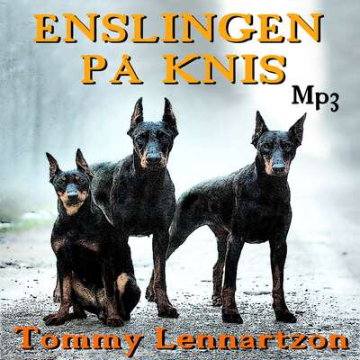 Enslingen på Knis - Tommy Lennartzon.