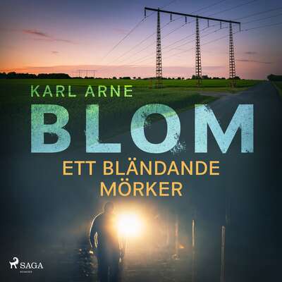 Ett bländande mörker - Karl Arne Blom.