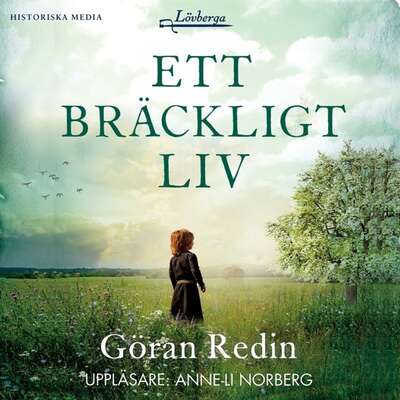 Ett bräckligt liv - Göran Redin.