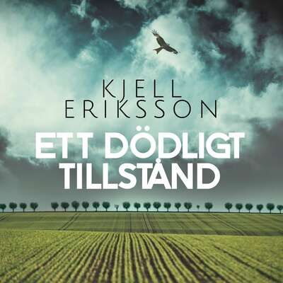 Ett dödligt tillstånd - Kjell Eriksson.