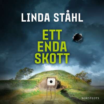 Ett enda skott - Linda Ståhl.