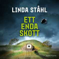 Ett enda skott