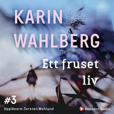 Ett fruset liv - Karin Wahlberg.