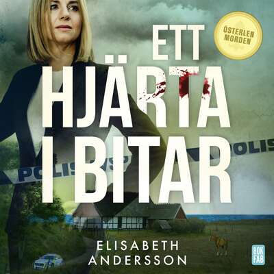 Ett hjärta i bitar - Elisabeth Andersson.