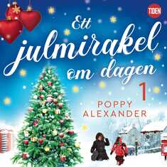 Ett julmirakel om dagen. Del 1