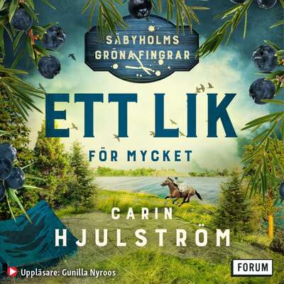 Ett lik för mycket - Carin Hjulström.