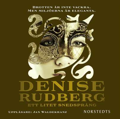 Ett litet snedsprång - Denise Rudberg.