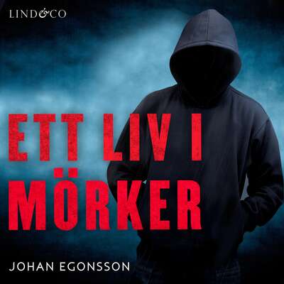 Ett liv i mörker: En sann historia - Johan Egonsson.