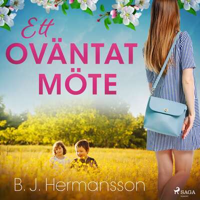 Ett oväntat möte - B. J. Hermansson.