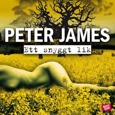 Ett snyggt lik - Peter James.