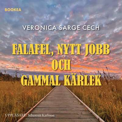 Falafel, nytt jobb och gammal kärlek - Veronica Sarge Cech.