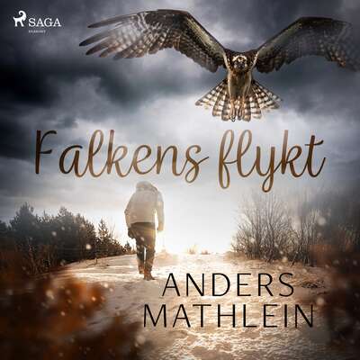 Falkens flykt - Anders Mathlein.