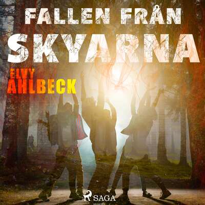 Fallen från skyarna - Elvy Ahlbeck.