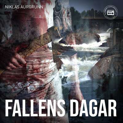 Fallens dagar - Niklas Aurgrunn.