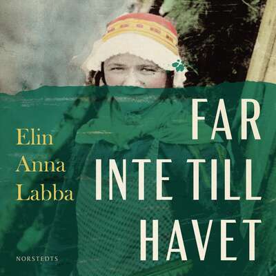 Far inte till havet - Elin Anna Labba.