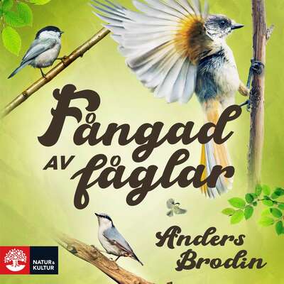 Fångad av fåglar - Anders Brodin.