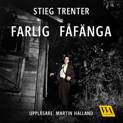 Farlig fåfänga - Stieg Trenter.