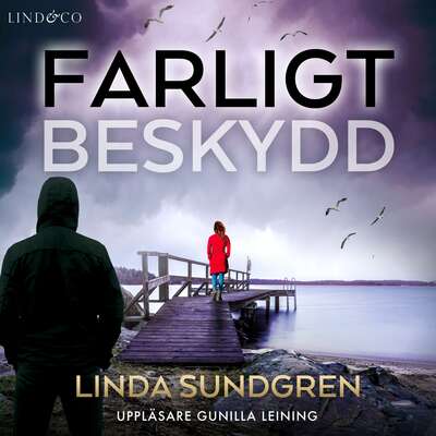 Farligt beskydd - Linda Sundgren.