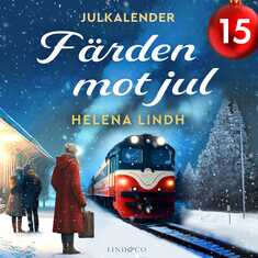 Färden mot jul: Lucka 15