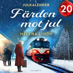 Färden mot jul: Lucka 20