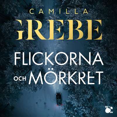 Flickorna och Mörkret - Camilla Grebe.