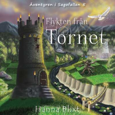 Flykten från tornet - Hanna Blixt.