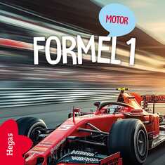 Formel 1