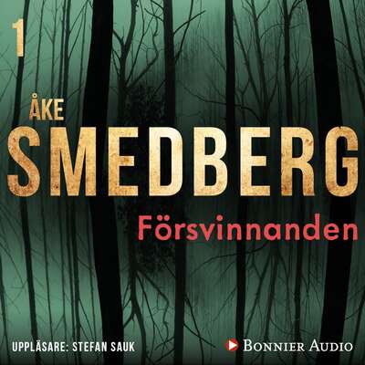 Försvinnanden - Åke Smedberg.