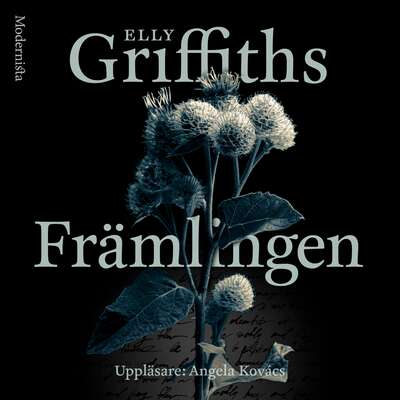 Främlingen - Elly Griffiths.