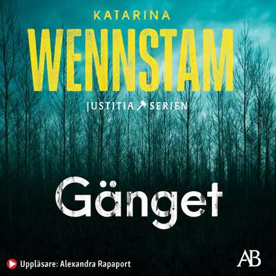 Gänget - Katarina Wennstam.