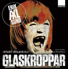 Glaskroppar