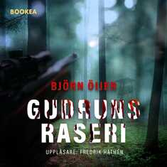 Gudruns raseri