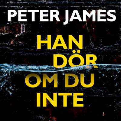 Han dör om du inte - Peter James.