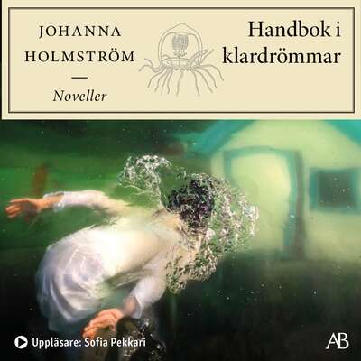 Handbok i klardrömmar - Johanna Holmström.