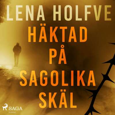 Häktad på sagolika skäl - Lena Holfve.