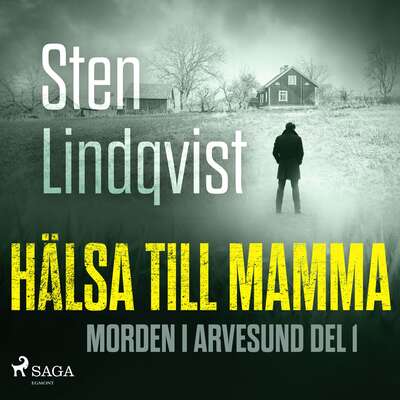 Hälsa till mamma - Sten Lindqvist.