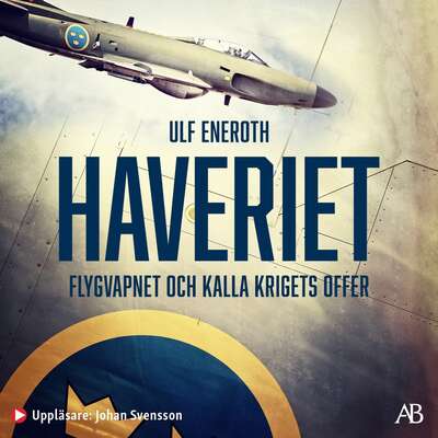 Haveriet : flygvapnet och kalla krigets offer