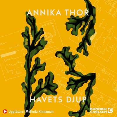 Havets djup - Annika Thor.