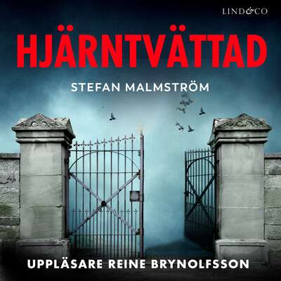 Hjärntvättad - Stefan Malmström.