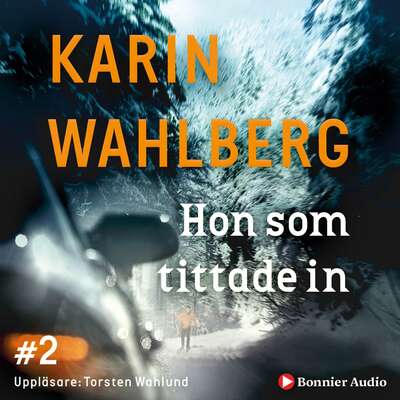 Hon som tittade in - Karin Wahlberg.