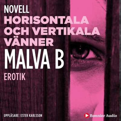 Horisontala och vertikala vänner : en novell ur Begär