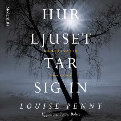 Hur ljuset tar sig in - Louise Penny.