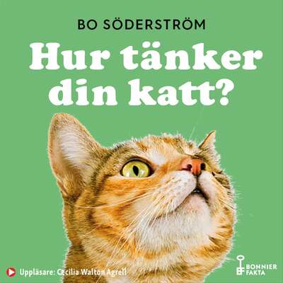 Hur tänker din katt? - Bo Söderström.