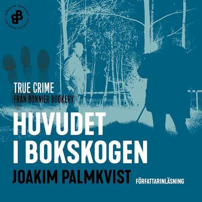 Huvudet i Bokskogen - Joakim Palmkvist.