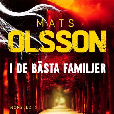 I de bästa familjer - Mats Olsson.