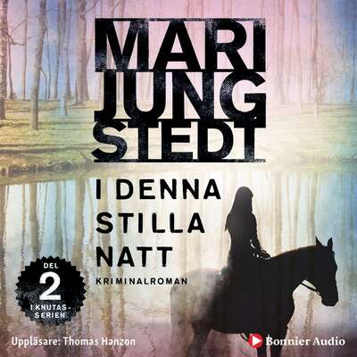 I denna stilla natt - Mari Jungstedt.